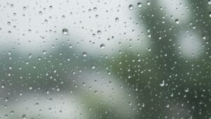 raindrops on window